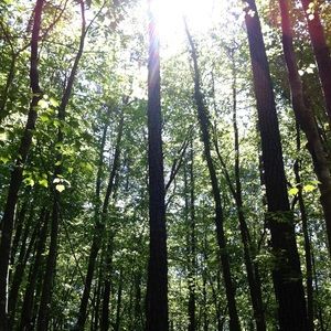 Meet your Posher, Suzanne